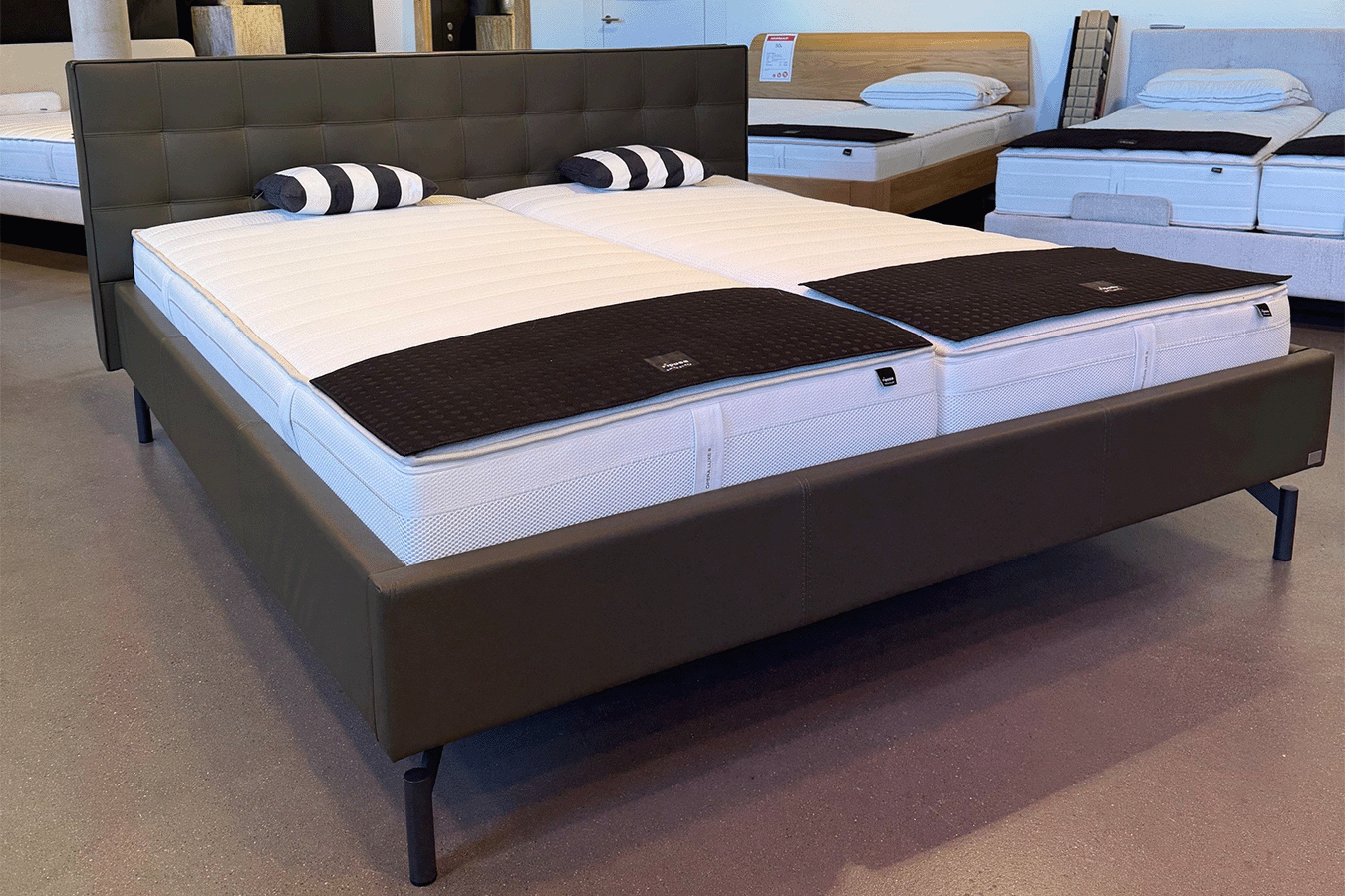Hasena Bett Dream Line mit Zuro M Kopfteil und Tondo Füssen Hasena Bett Dream Line mit Zuro M Kopfteil und Tondo Füssen