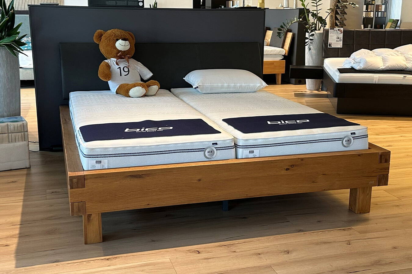 Hasena Pilatus Bettrahmen Abverkauf ab St. Gallen