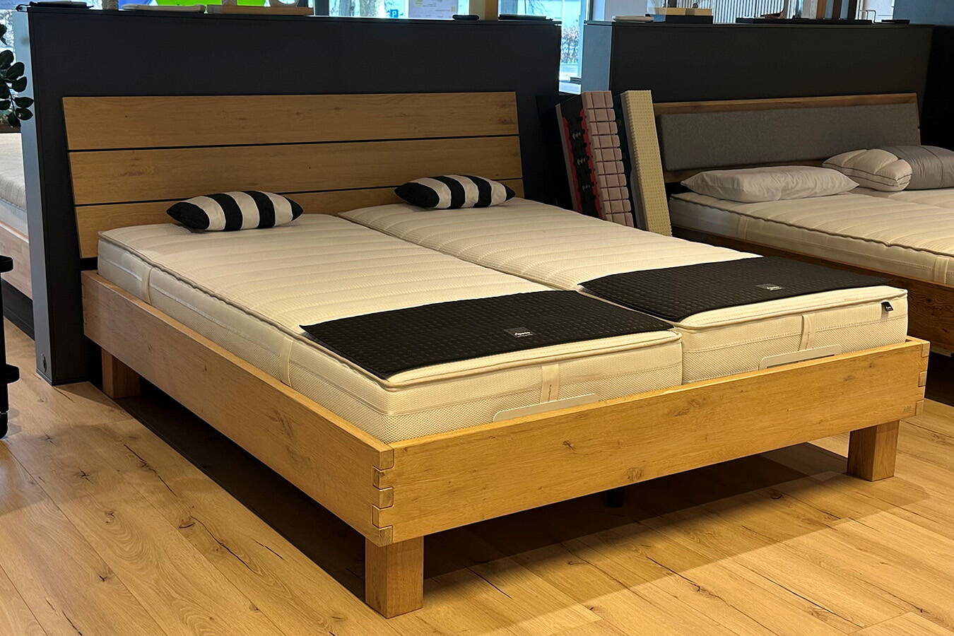 Hasena Connecto Bettrahmen Abverkauf ab St. Gallen